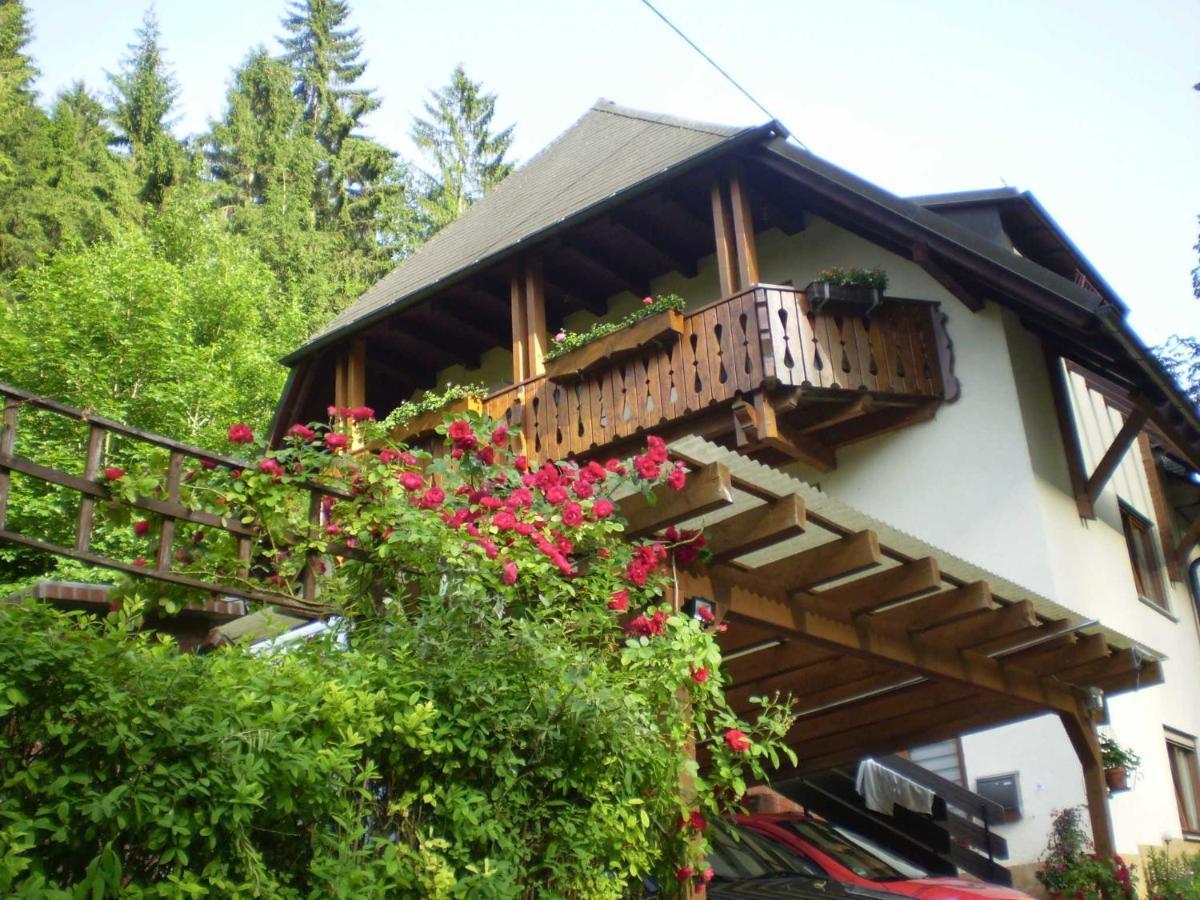 Ferienwohnung Haus am Bach Freiburg im Breisgau Exterior foto